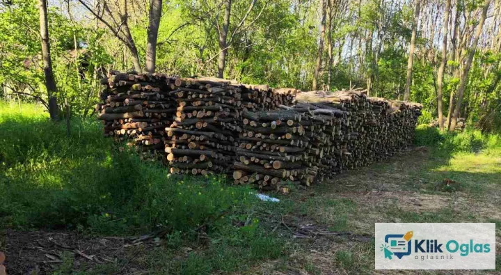 Prodajem ogrevno drvo (bagrem) 140 m3