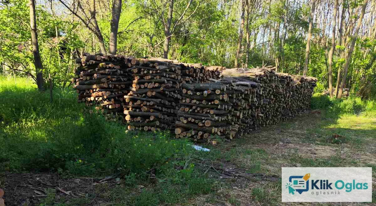 Prodajem ogrevno drvo (bagrem) 140 m3