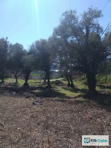 Herceg Novi, građevinski placevi na 1.7 km od centra
