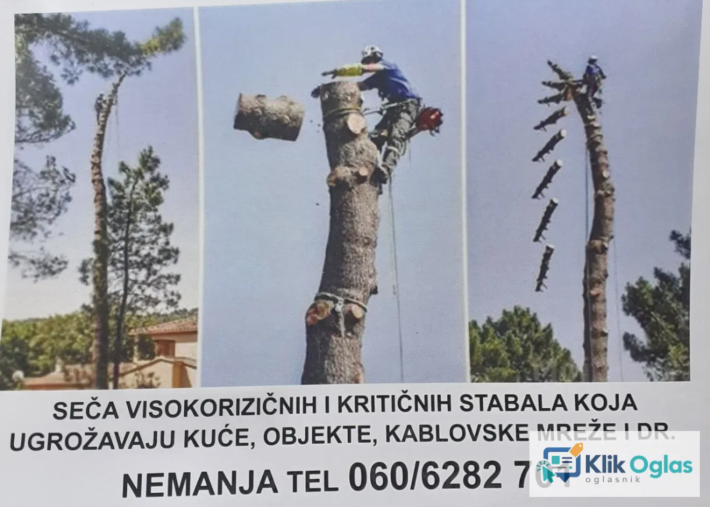 Seča Visokorizičnih stabala