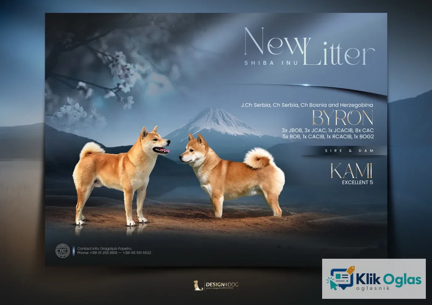 Šampionsko leglo Shiba inu