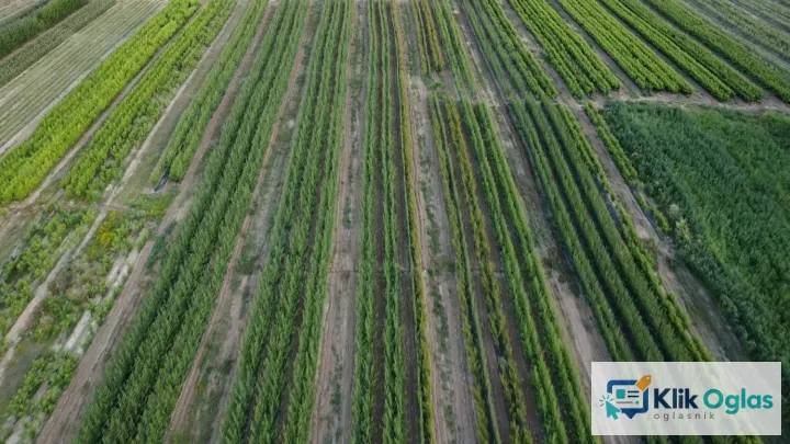 Prestiž Plant Nursery