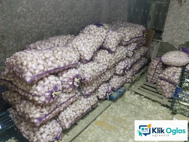 Domaći beli luk