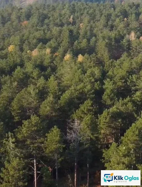 Plac: Lučić ograda - Divčibare, slika 1
