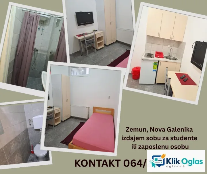 Zemun, Nova Galenika, izdajem sobu